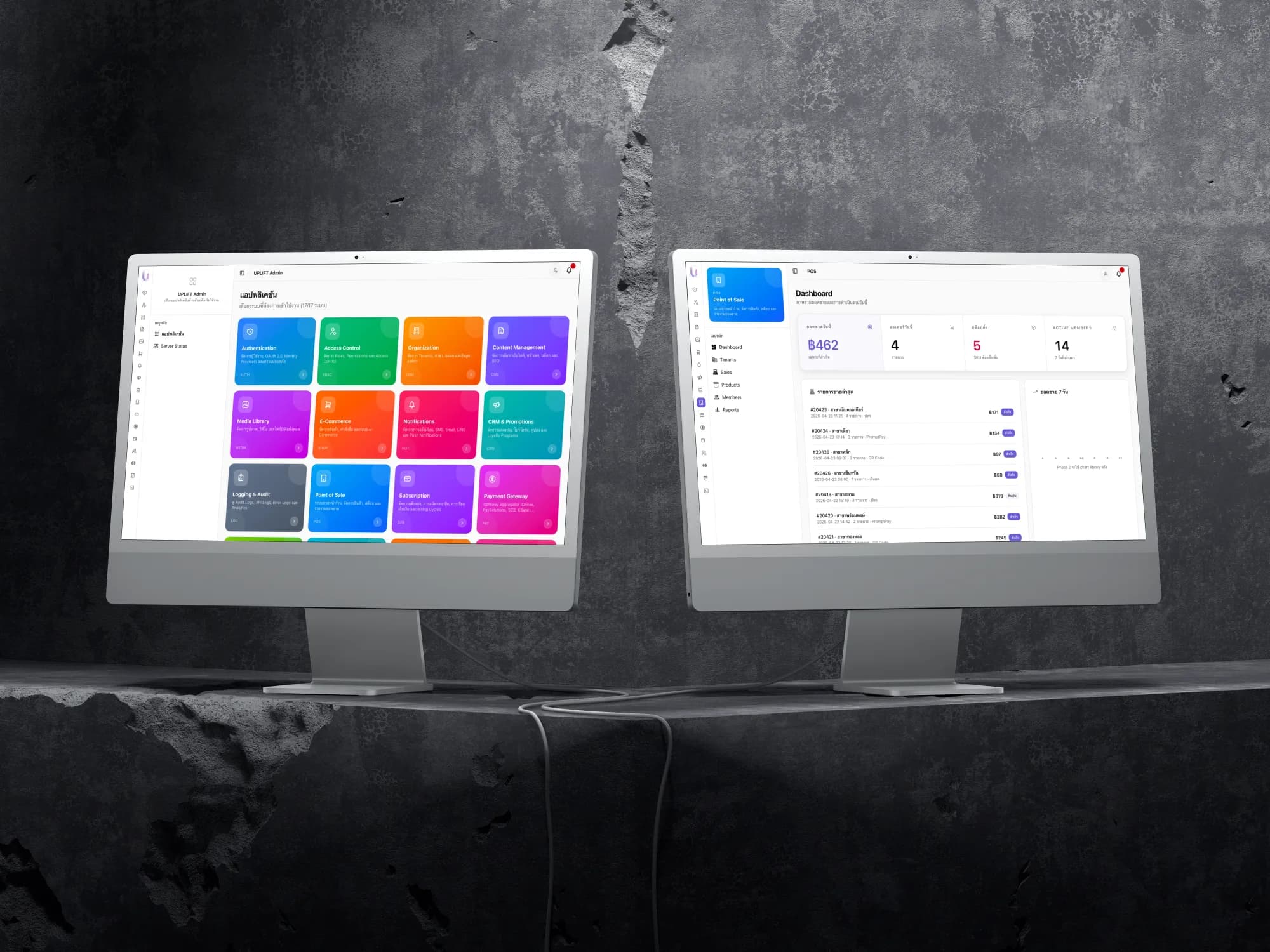 D-Clean dashboard on dual monitors